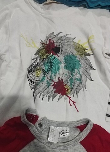 24-36 Ay Beden çeşitli Renk Bady sweat