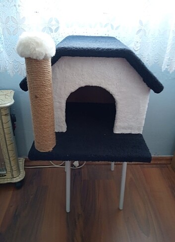 Kedi Evi