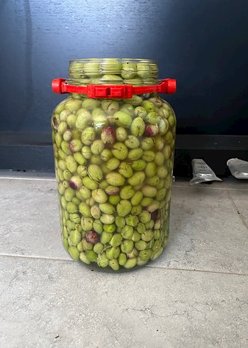 Kahvaltılık Zeytin (taze ev yapımı) - Görsel 6