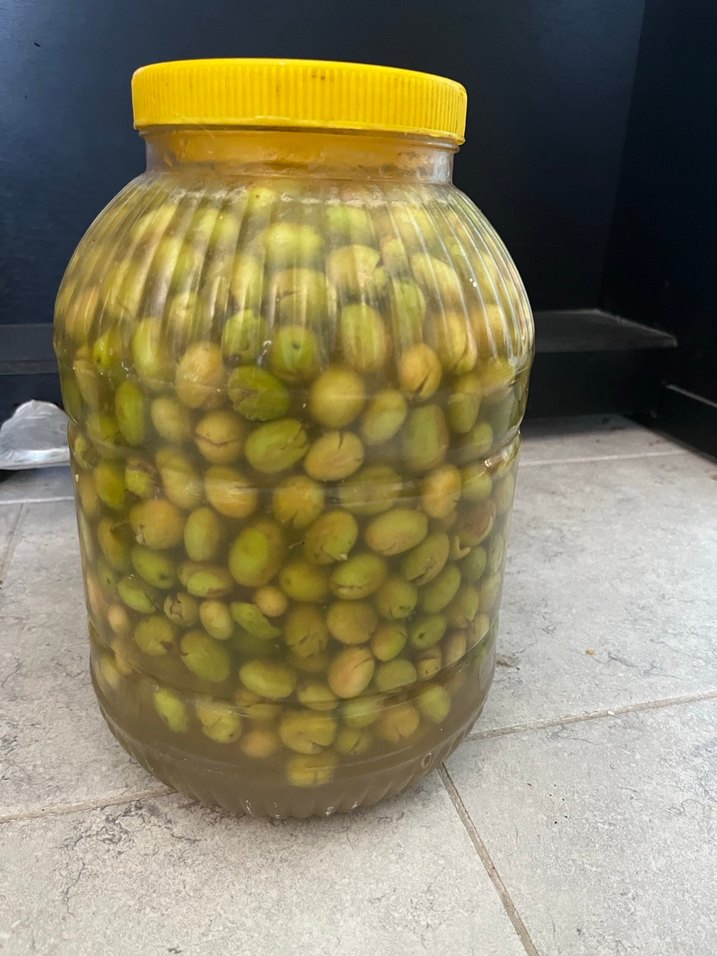 Kahvaltılık Zeytin (taze ev yapımı) - Görsel 5