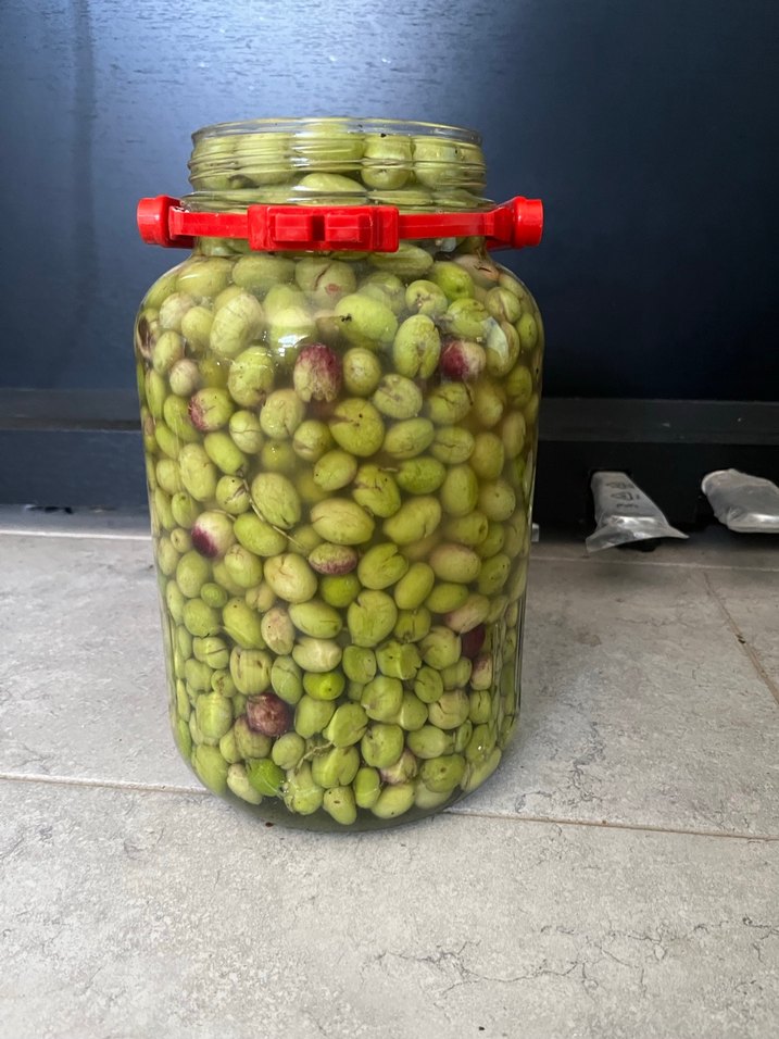 Kahvaltılık Zeytin (taze ev yapımı) - Görsel 2