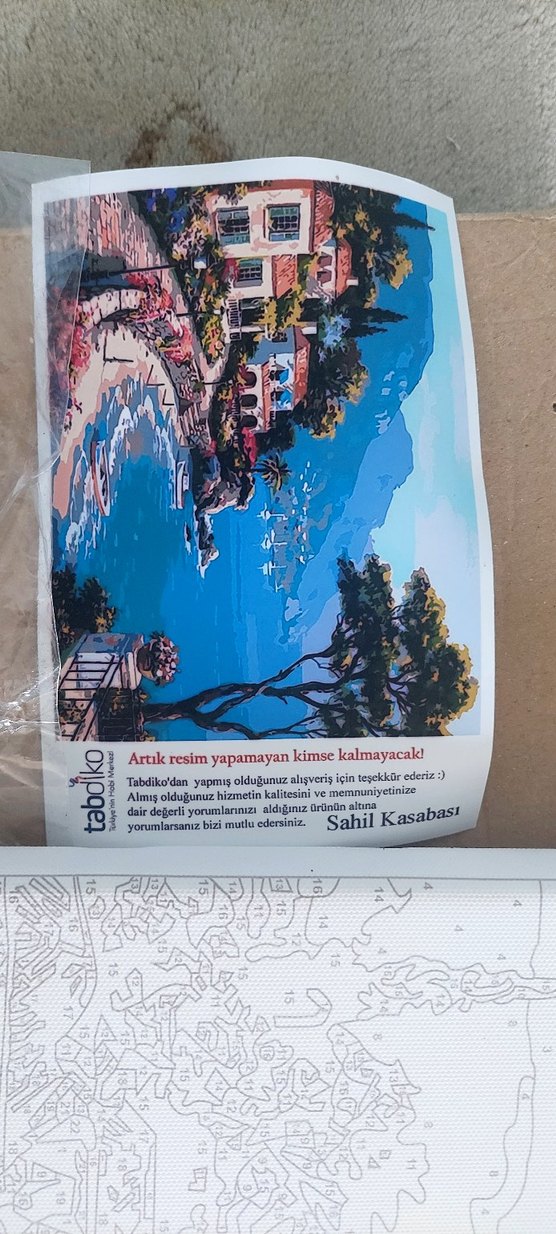 Beyaz Tuval Üzerinde Sayılarla Boyama Seti - Görsel 2