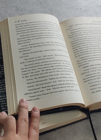 Hush hush serisi - Görsel 3