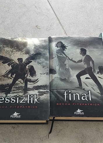 Hush hush serisi - Görsel 2