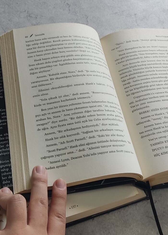 Hush hush serisi - Görsel 3