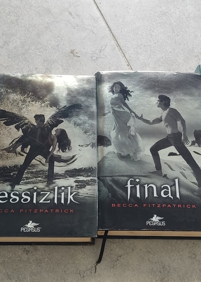 Hush hush serisi - Görsel 2