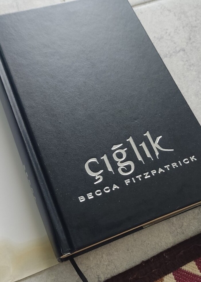 Hush hush serisi - Görsel 4