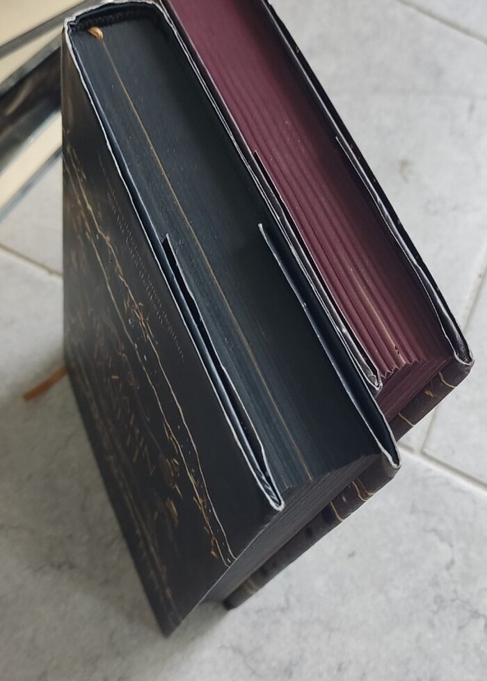 Yıldızların laneti güllerin laneti - Görsel 3