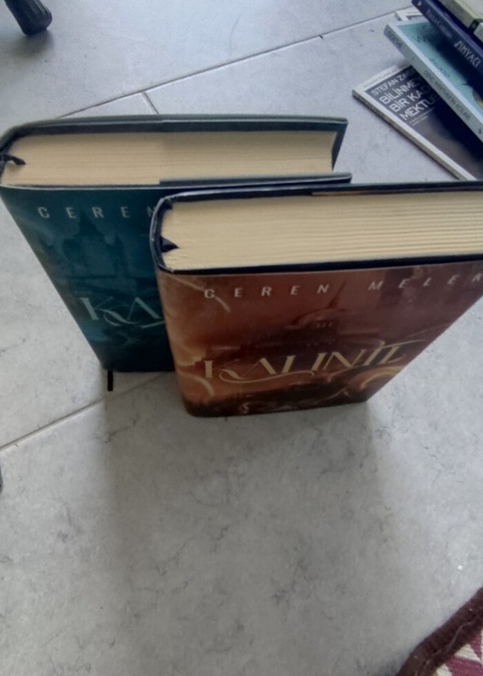 Kalıntı serisi - Görsel 4