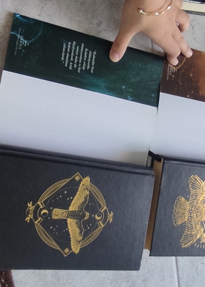 Kalıntı serisi - Görsel 2