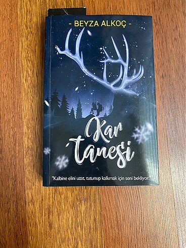 Kar Tanesi Beyza Alkoç