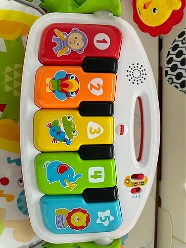  Beden çeşitli Renk Fisher Price Oyun Halısı