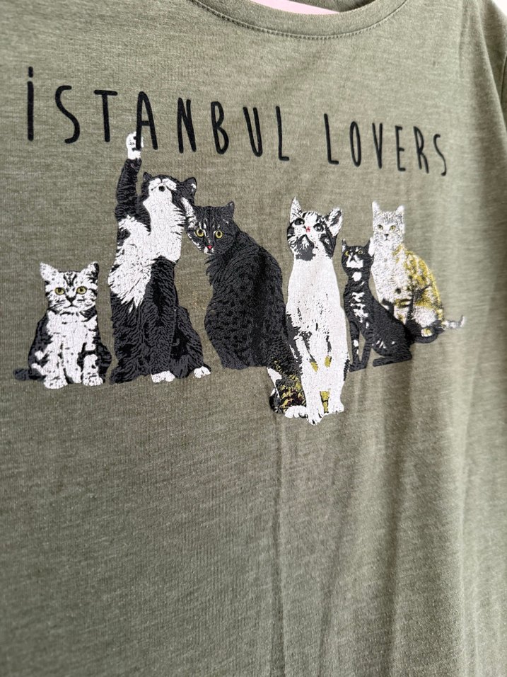 Gri Kadın Kısa Kollu Baskılı Tişört - Görsel 2