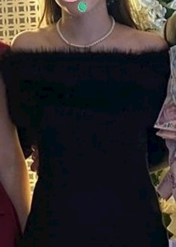 Kürk Detaylı Siyah Uzun Kollu Elbise - Görsel 2