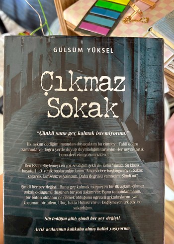 Çıkmaz Sokak - Gülsüm Yüksel - Görsel 2
