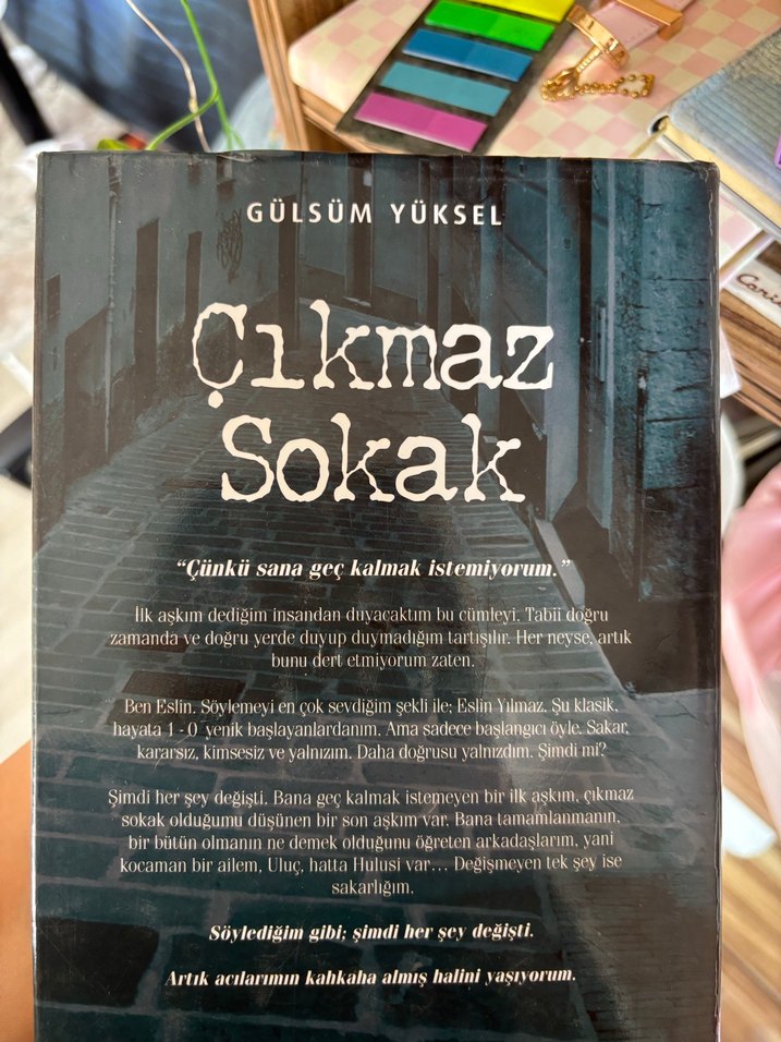 Çıkmaz Sokak - Gülsüm Yüksel - Görsel 2