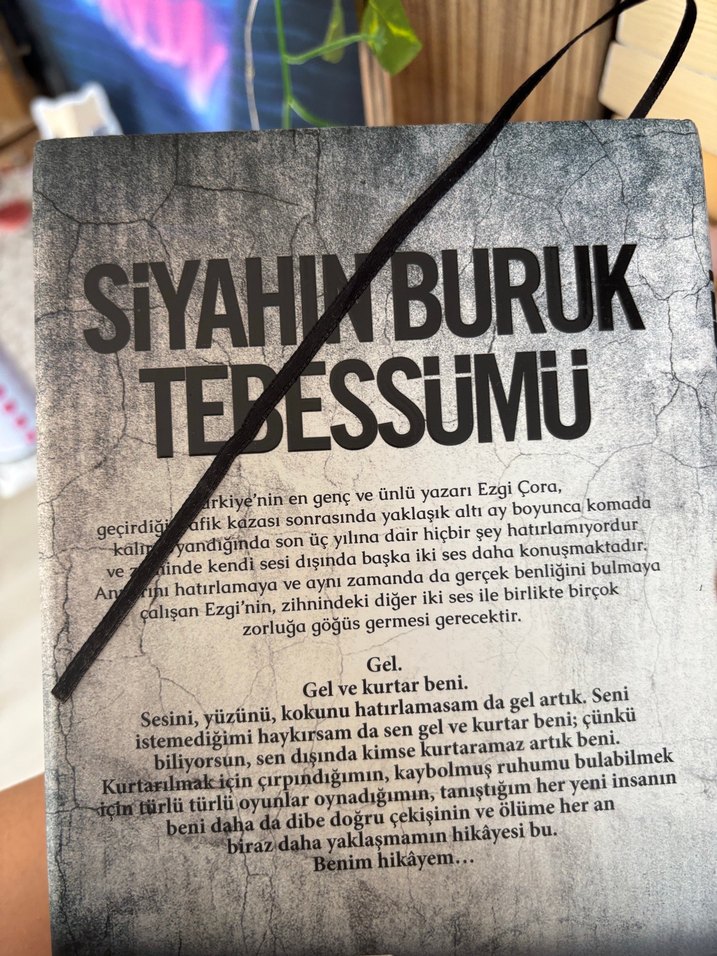 Zeynep Sey - Siyahın Buruk Tebessümü - Görsel 2