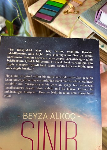 Sınır - Beyza Alkoç - Görsel 2