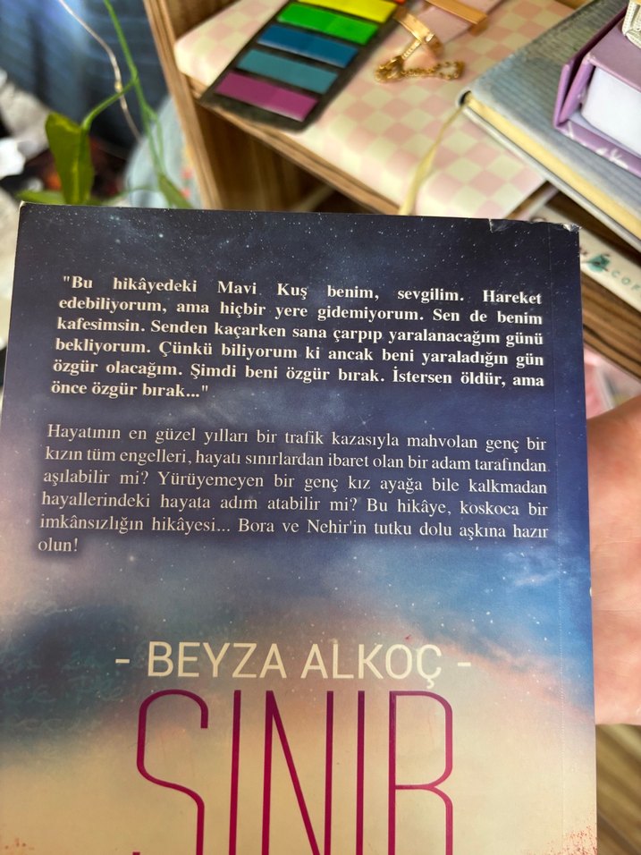 Sınır - Beyza Alkoç - Görsel 2