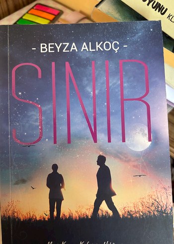 Siyah Kuğu - Beyza Aksoy - Görsel 16