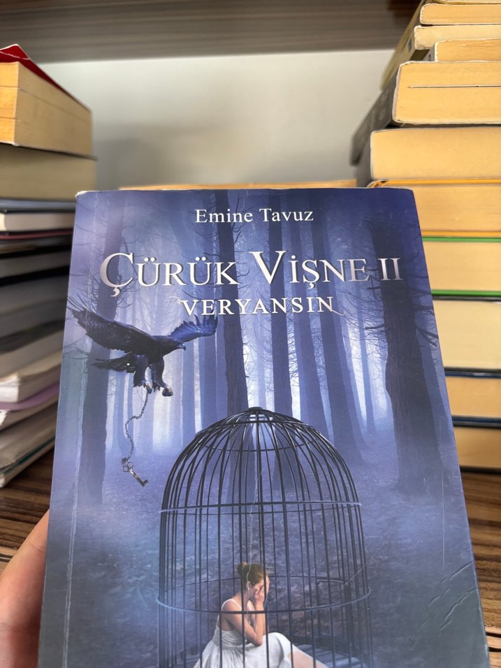 Siyah Kuğu - Beyza Aksoy - Görsel 3