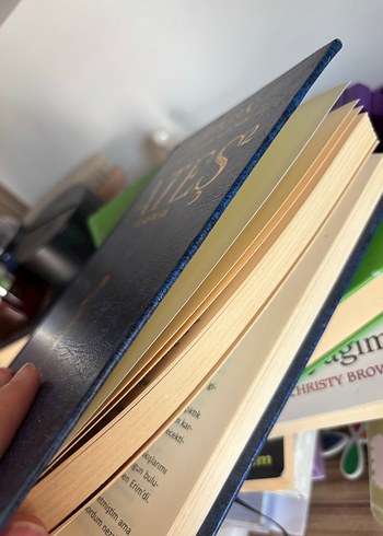 Ateş 2 Ulaşmak - Filiz Puluç - Görsel 2