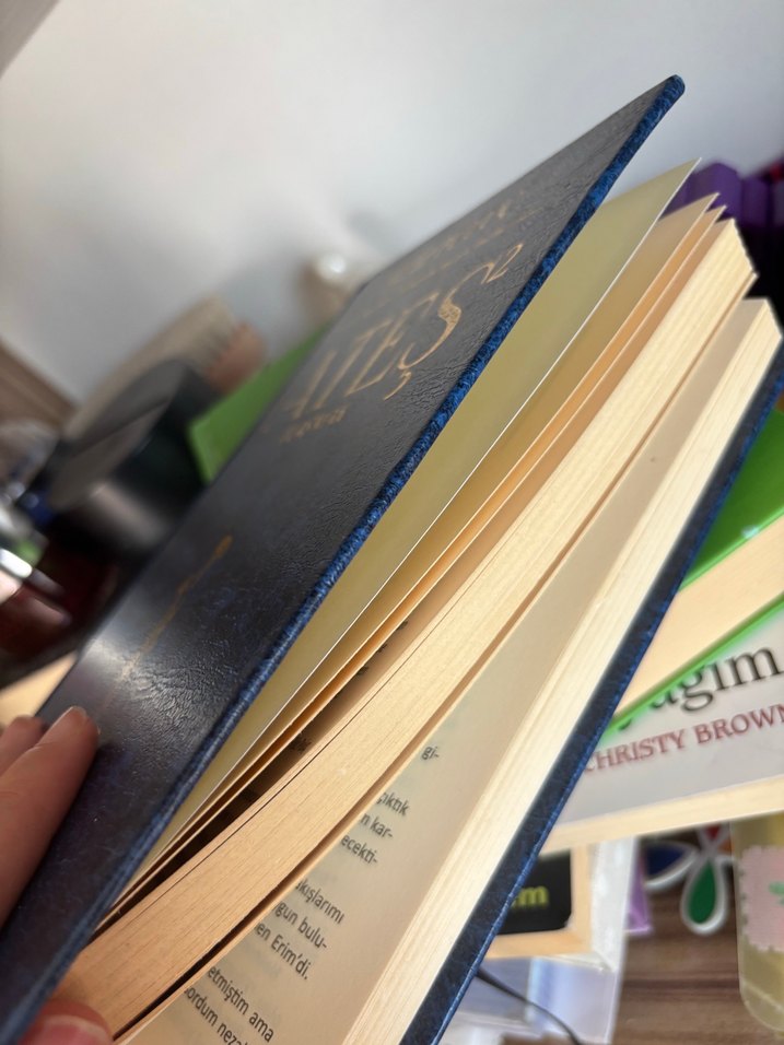 Ateş 2 Ulaşmak - Filiz Puluç - Görsel 2