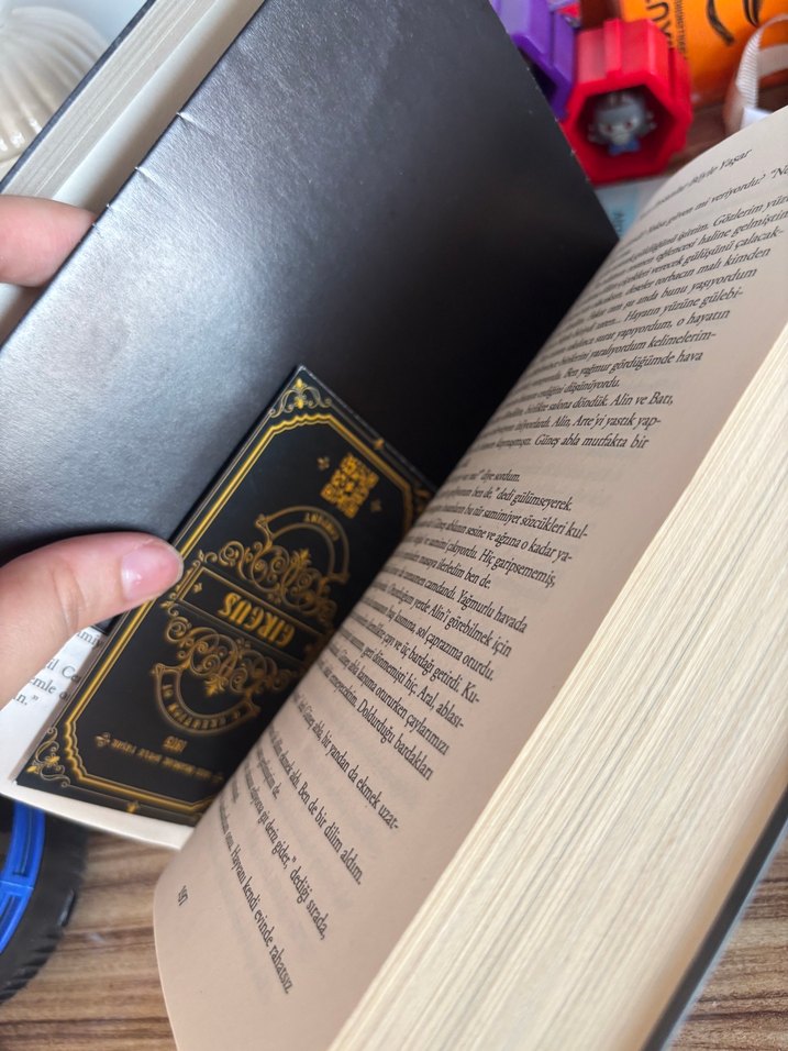 Bazı İnsanlar Böyle Yaşar - Filiz Puluç - Görsel 3