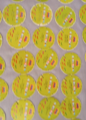 Memoli taso - Görsel 15