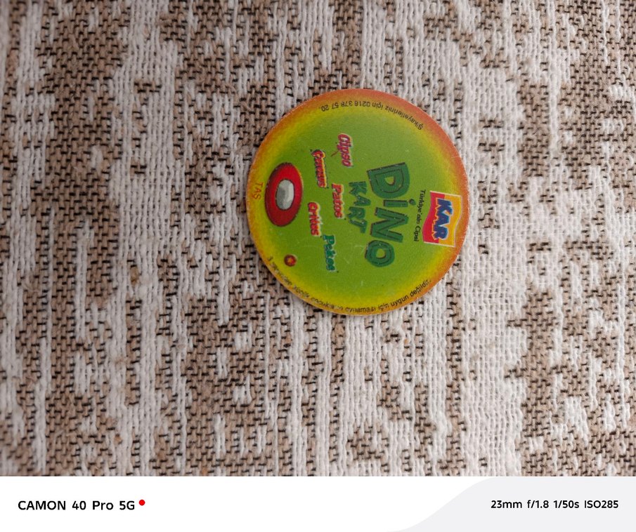 Dino taso - Görsel 4