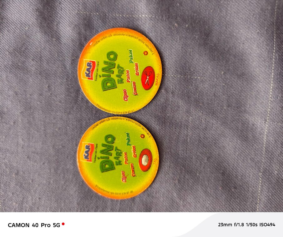 Dino taso - Görsel 2