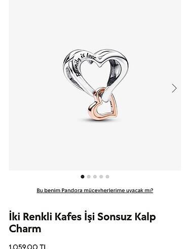 İki Renkli Kafes İşi Sonsuz Pandora Charm