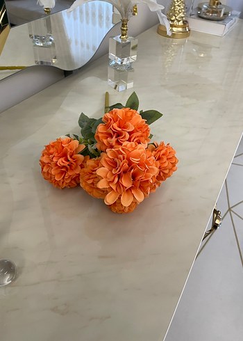 Kasımpatı - Görsel 3