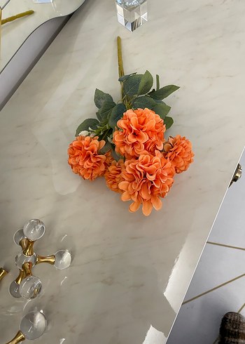 Kasımpatı - Görsel 2