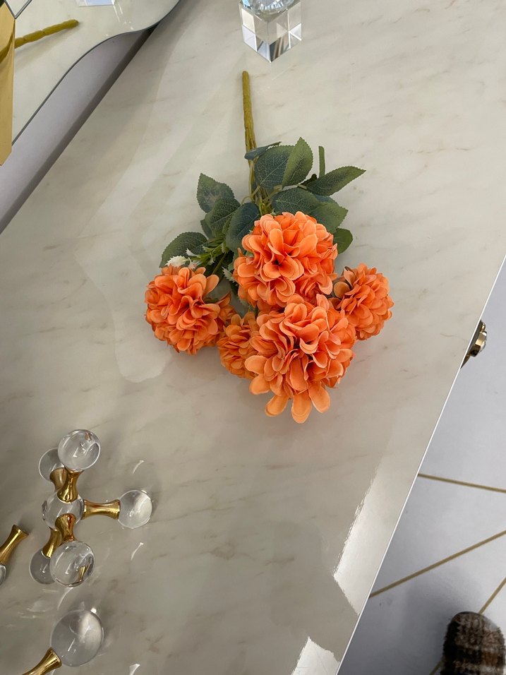 Kasımpatı - Görsel 2