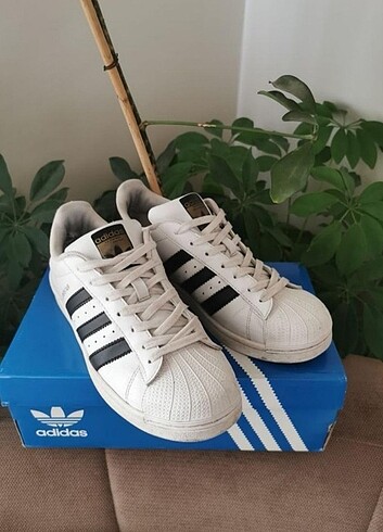 Adidas Süperstar 