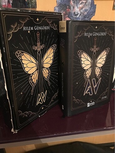 Av kitap kutulu set