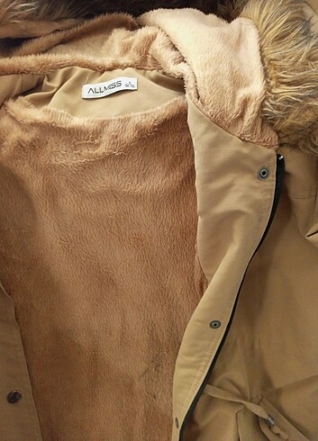 s Beden camel Renk Bayan mont