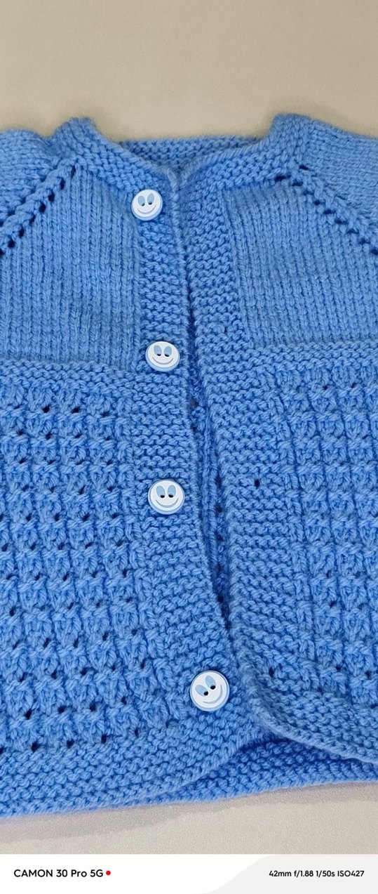 Mavi Kısa Kollu Örgü Erkek Hırka - Görsel 2