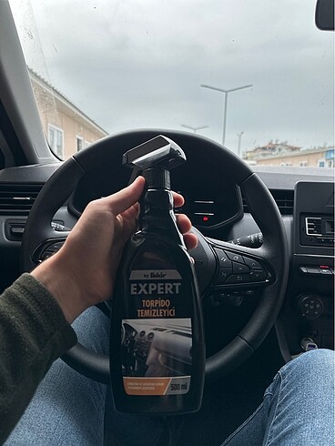 Araç temizleyici