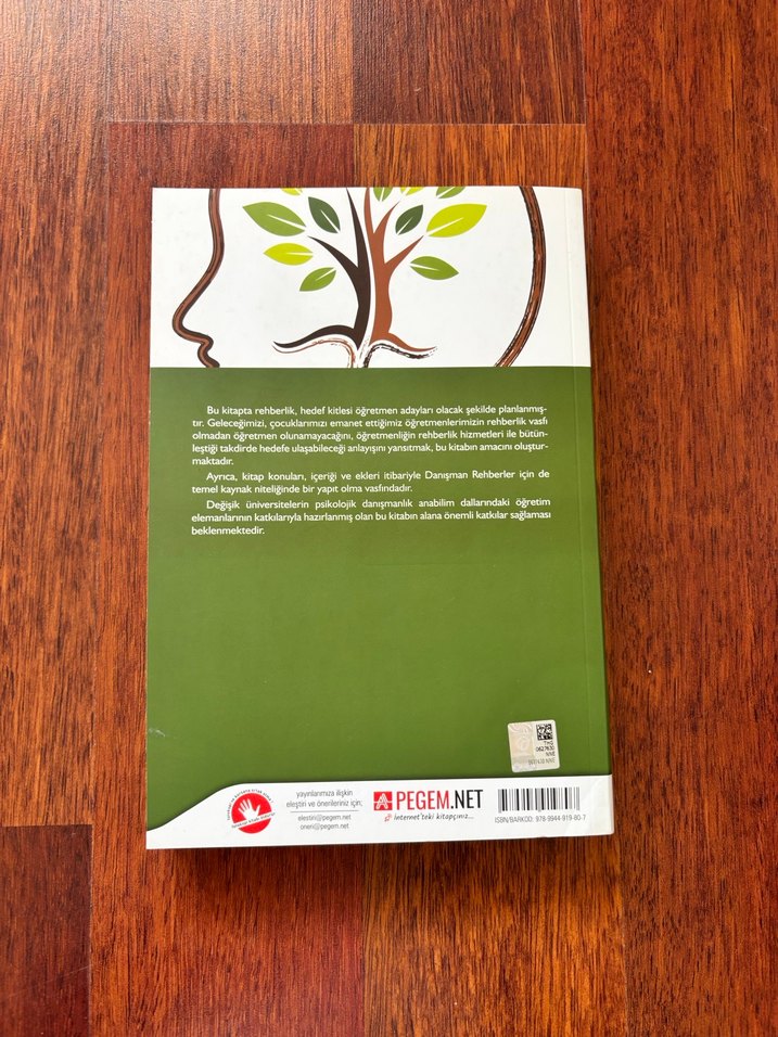 Rehberlik Kitabı - Betül Aydın Editörlüğünde - Görsel 2