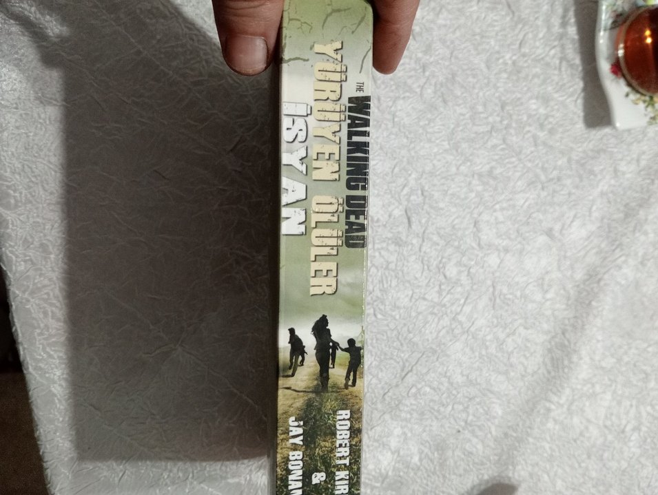 Yürüyen ölüler  İsyan - Görsel 2