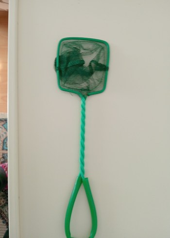 akvaryum - Görsel 4