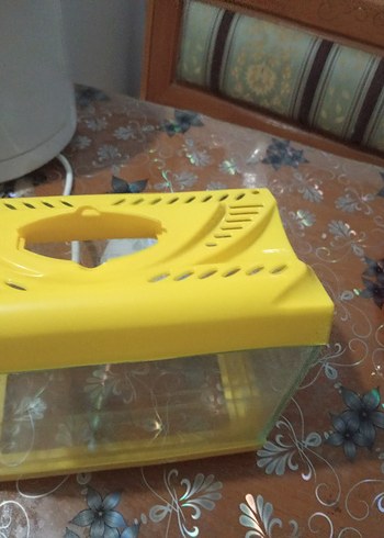 akvaryum - Görsel 3