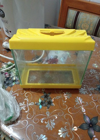 akvaryum - Görsel 2