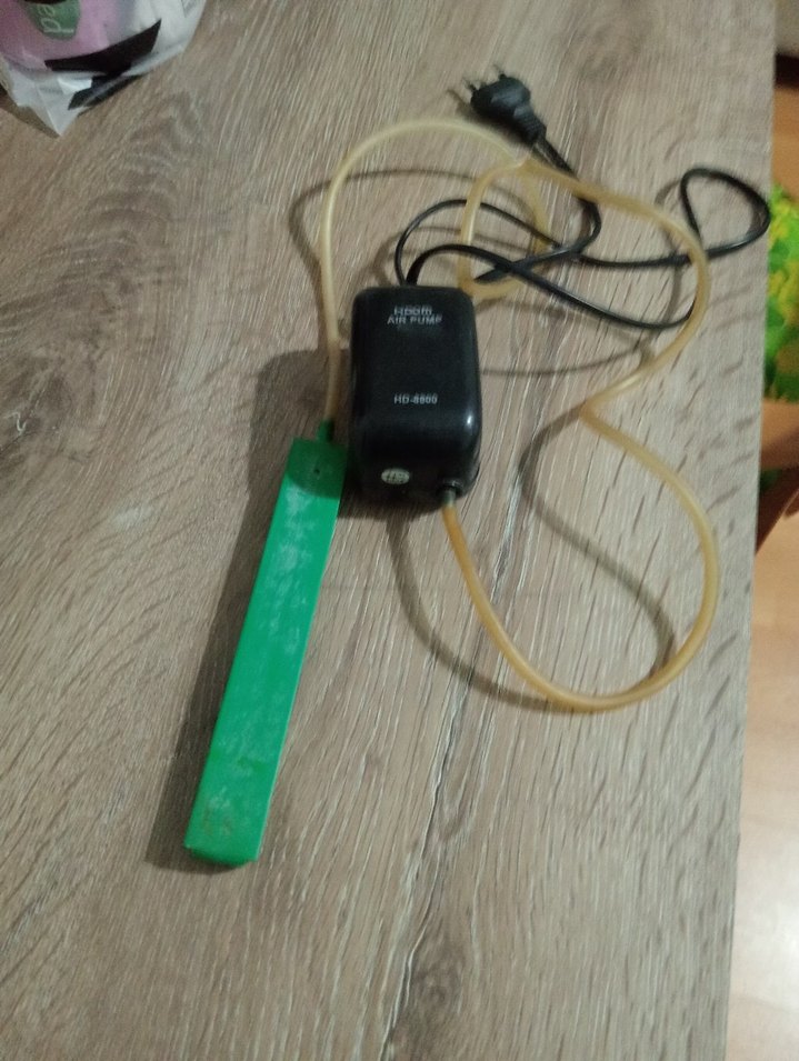 akvaryum - Görsel 5