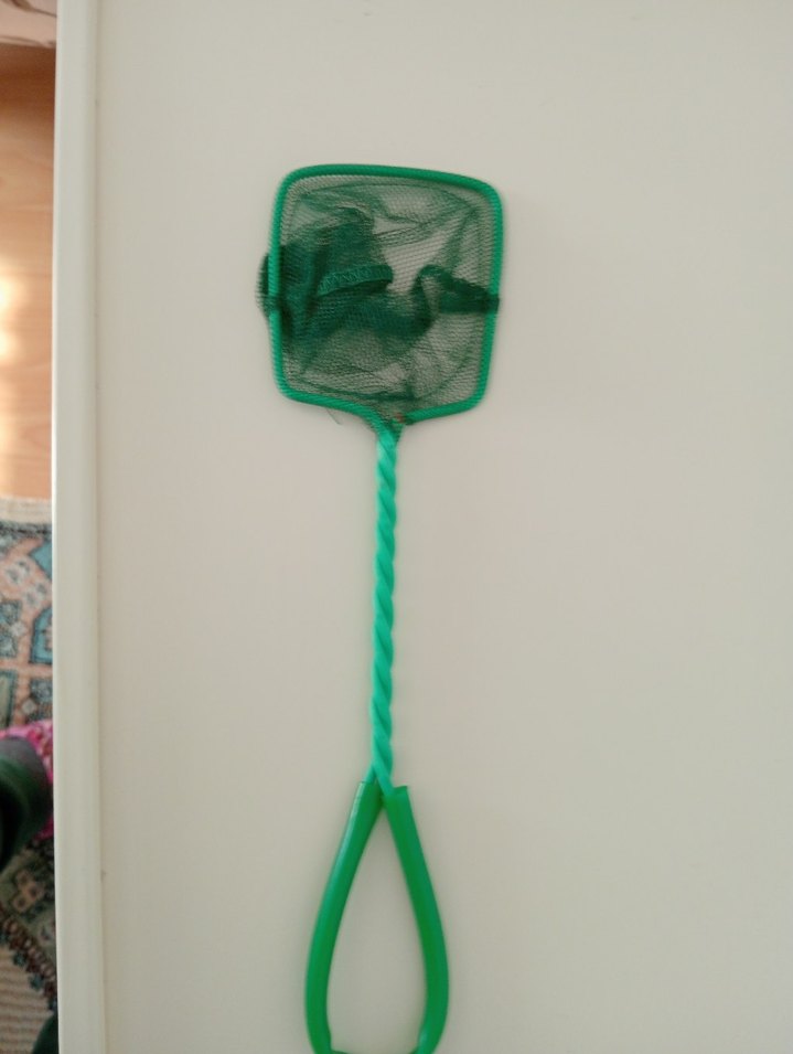 akvaryum - Görsel 4