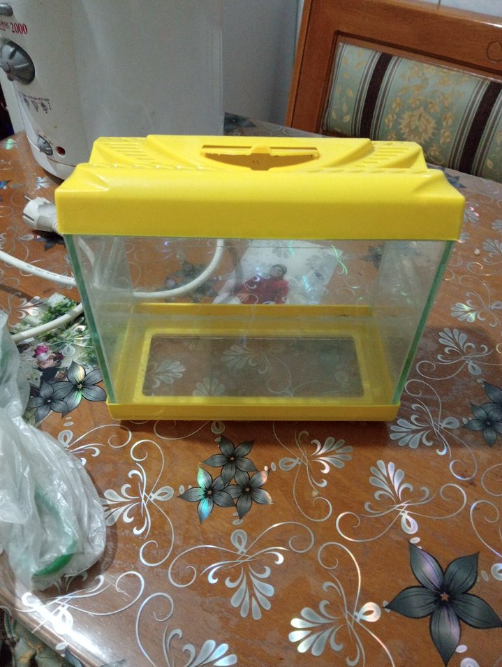 akvaryum - Görsel 2