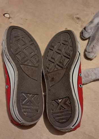 36 Beden All*Star Converse Ayakkabı