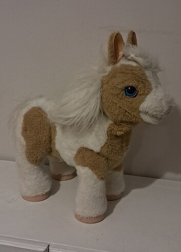 Furreal midilli